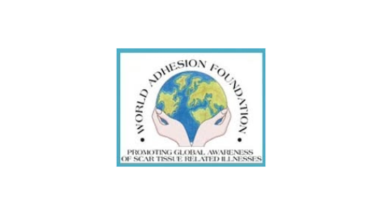 World Adhesions foundation